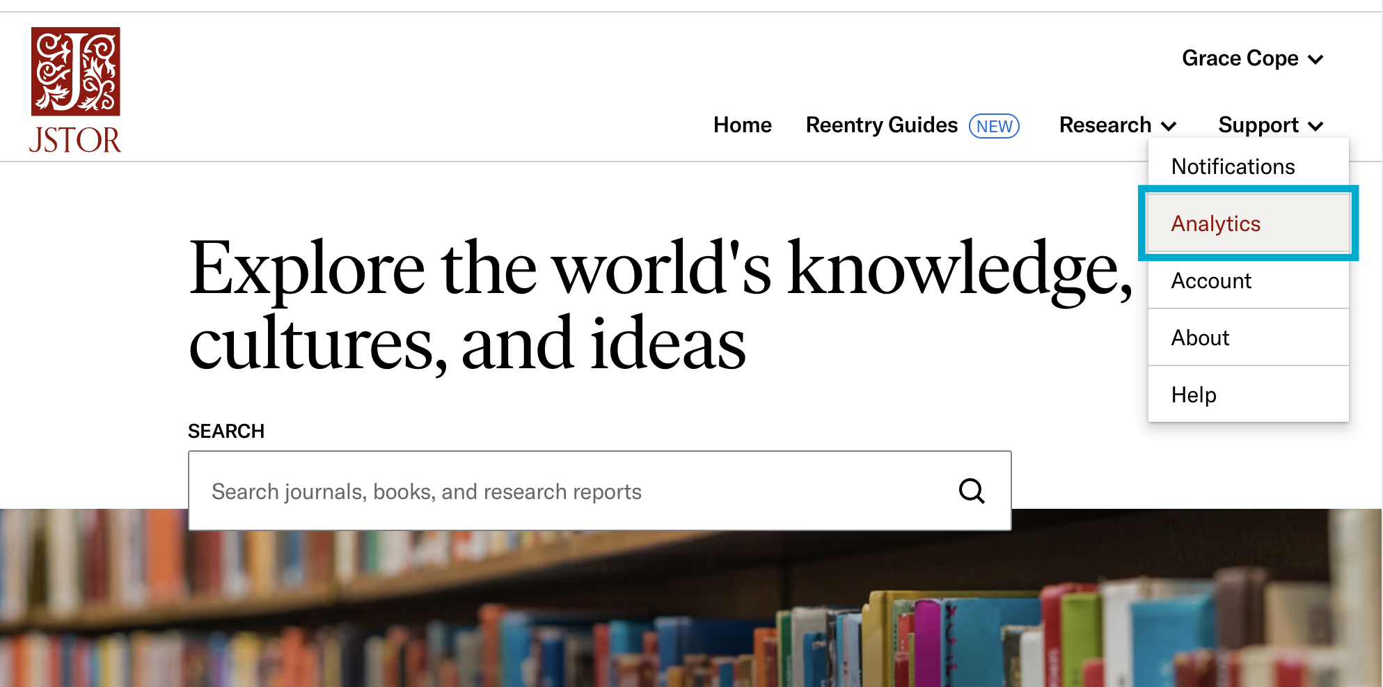 Analytics option in Support drop-down menu